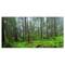 Designart - Hoh Rain Forest - Landscape Photography Canvas Art Print